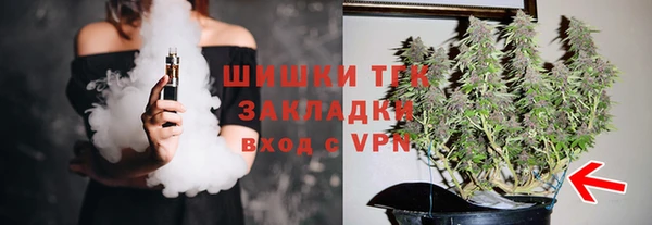 дживик Осинники