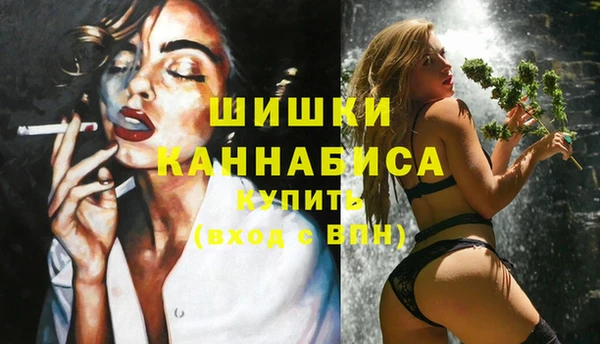 дживик Осинники
