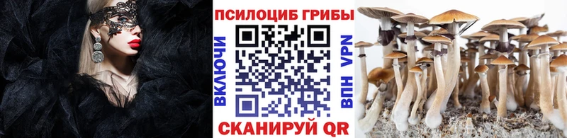 гидра зеркало  даркнет сайт  Сольцы  Галлюциногенные грибы прущие грибы 